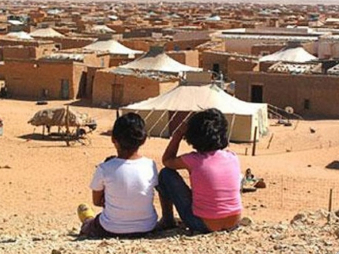 925 منظمة صحراوية غير حكومية لحقوق