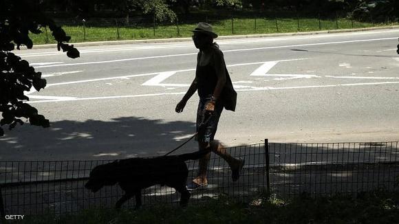 نفوق أول كلب أصيب بكورونا