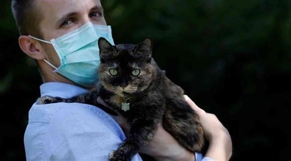 دراسة: الإنسان قد ينقل كورونا للقطط