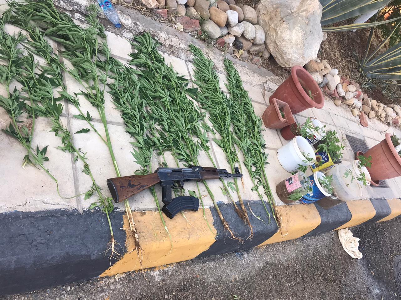 ضبط 11 مروجا للمخدرات جنوب العاصمة