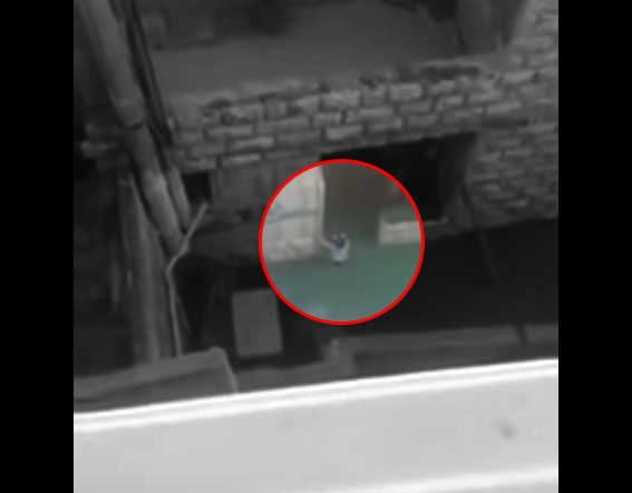 تكفيل مديرة الحضانة الموقوفة بسبب ’فيديو