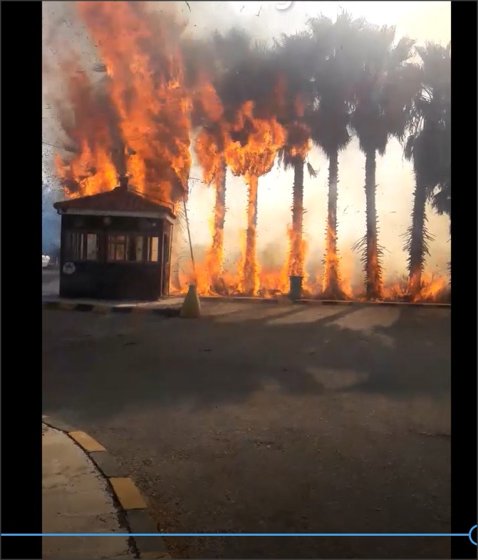 حريق أعشاب وأشجار نخيل داخل المنطقة