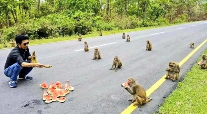 دراسة: الحيوانات تلتزم بالتباعد الجسدي وقت