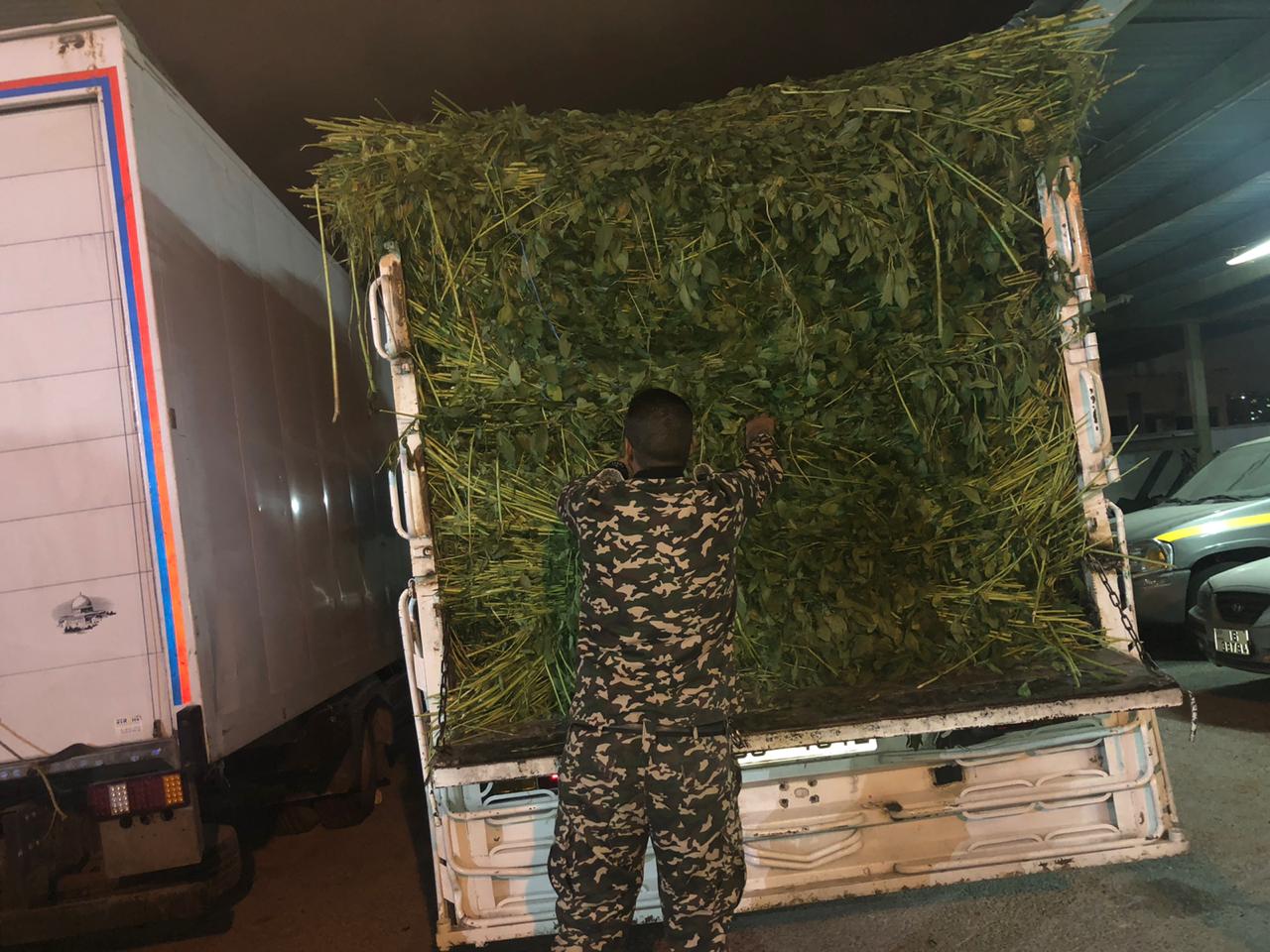 الجمارك تحبط تهريب ديانا محملة باكسسوارات