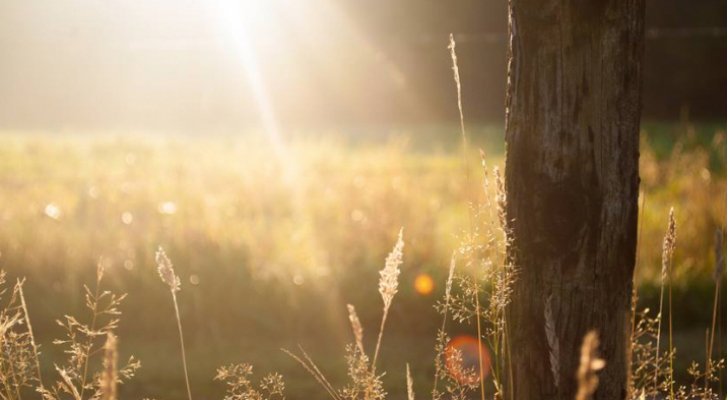 انخفاض على الحرارة الأربعاء والخميس قبل