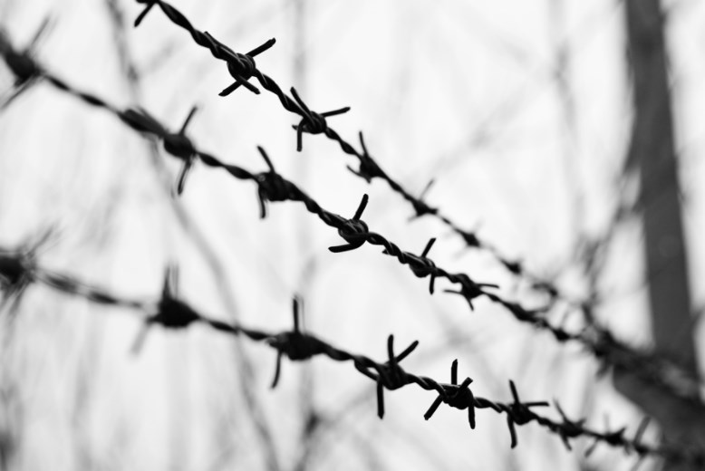 روعة سبيتان تكتب: أشلاء الحرب