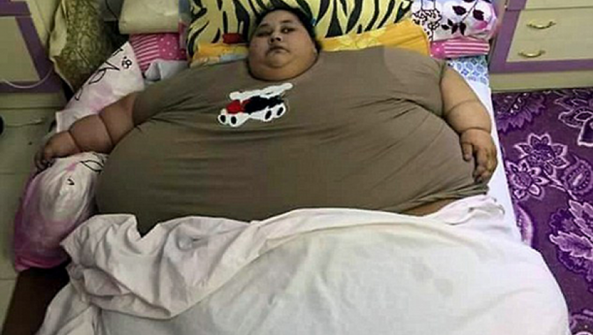 السفارة المصرية في الهند تتحرك لنقل