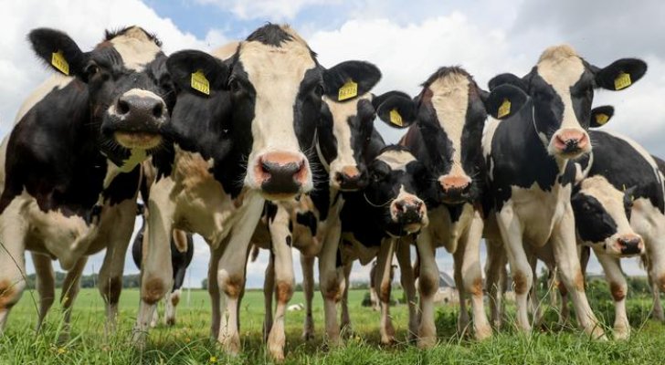 اليابان تبحث عن سفينة تحمل عشرات