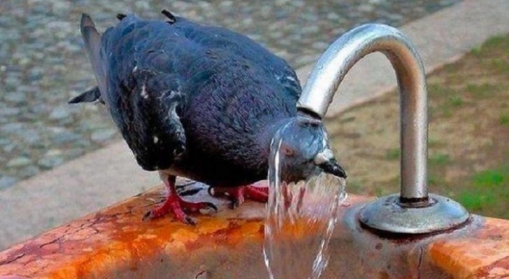 الأحد.. تبقى الكتلة الهوائية شديدة الحرارة