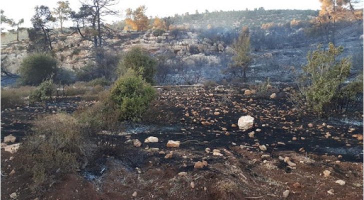 الخرابشة: خطة التحريج الوطني تهدف الى