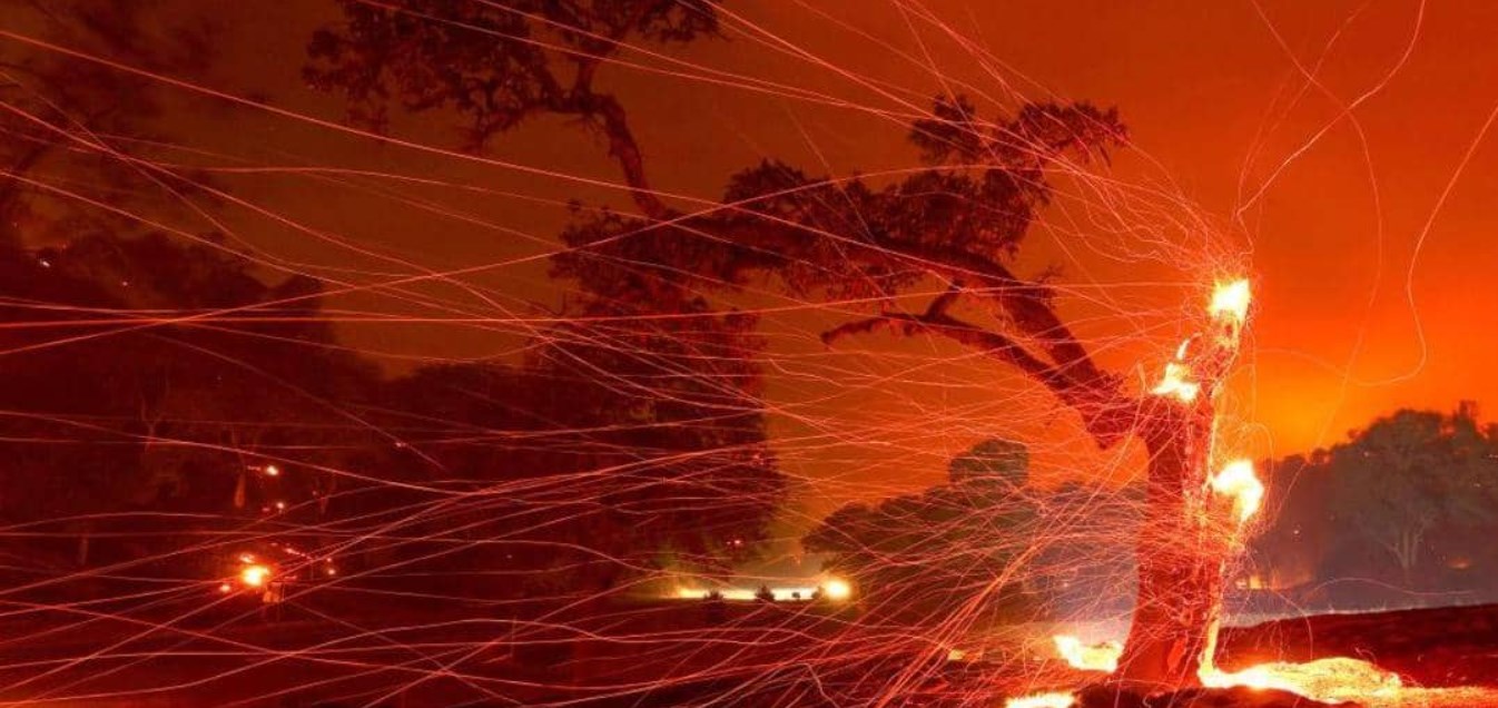 حاكم كاليفورنيا: التغير المناخي هو السبب