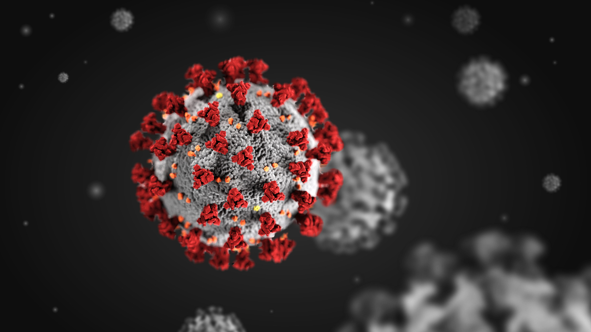 باحثة تهرب من الصين بـ «أدلة