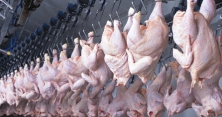 الزراعة تشترط على المسالخ ومحال ذبح