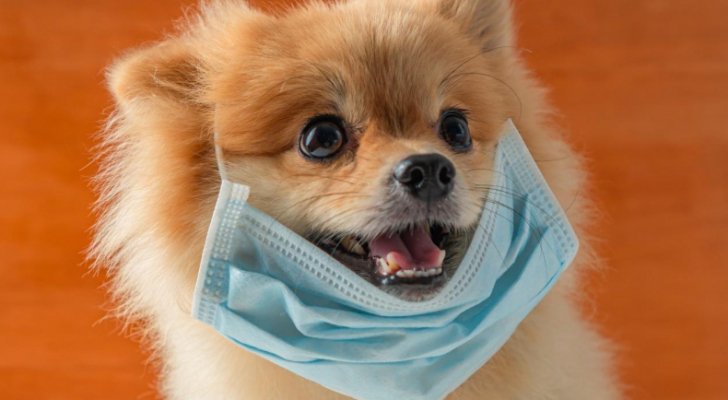 الناطق لوزارة الزراعة الأردنية يعلق على