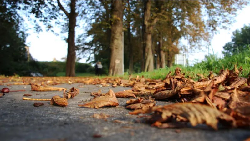 الأربعاء المقبل أول أيام الخريف فلكيا