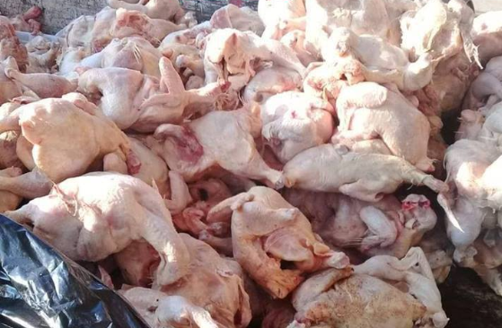 الغذاء والدواء تتلف 4300 كغم من