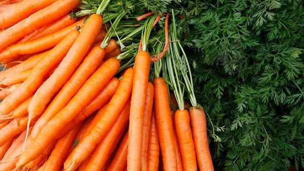 السوق المركزي يغلي.. والسبب الجزر