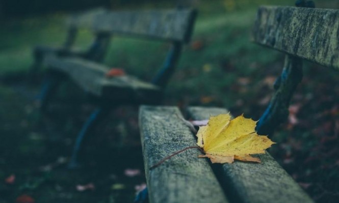 أجواء خريفية معتدلة الحرارة في أغلب