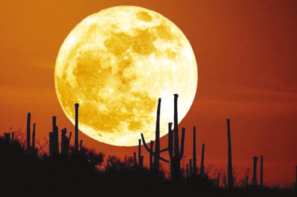 قمر الحصادين يضيء سماء المملكة الخميس