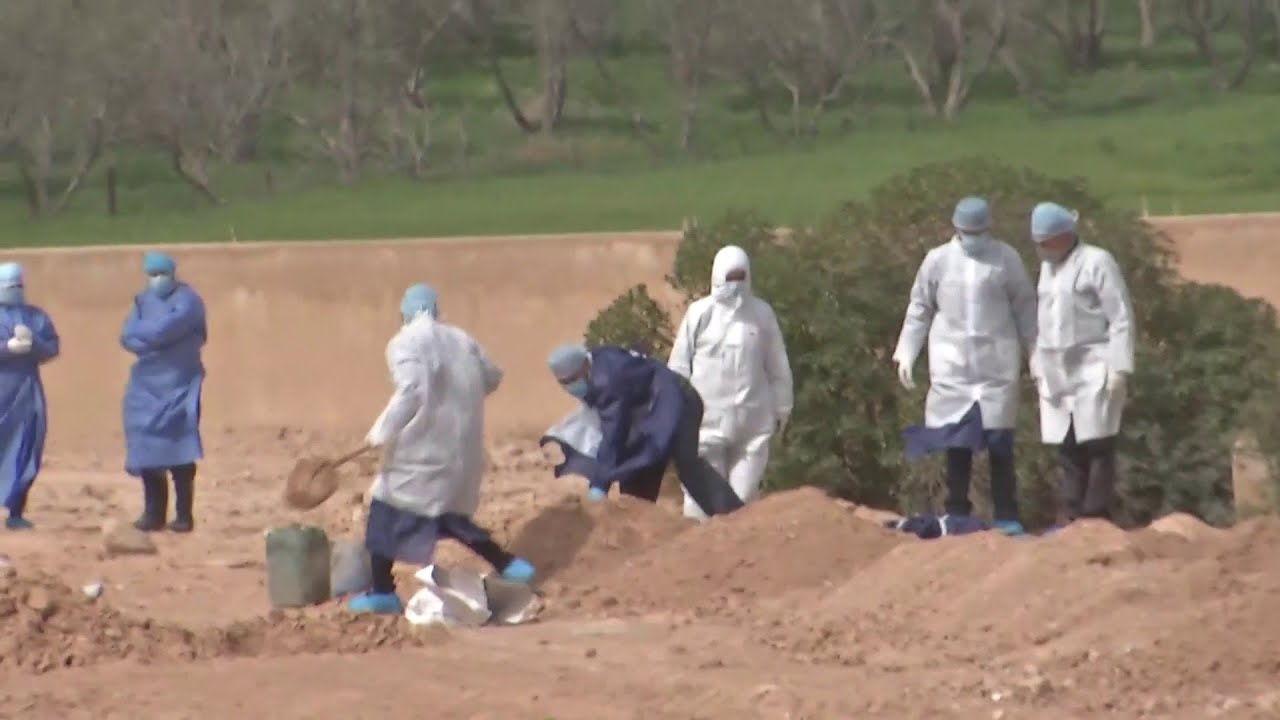 إعادة النظر في بروتوكول دفن موتى