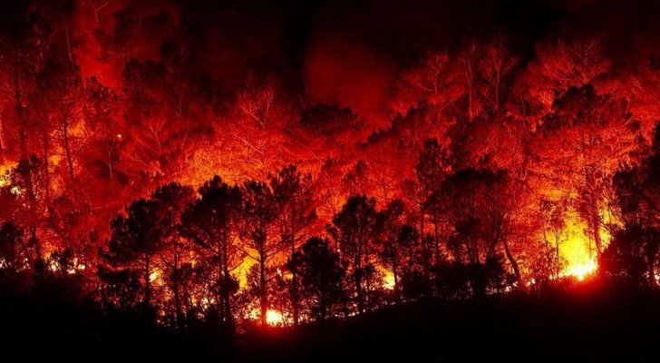 حرائق ضخمة تجتاح سوريا (فيديو)