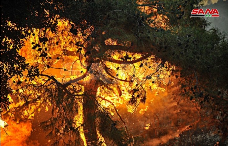 حرائق في كل مكان.. سوريا تحترق..