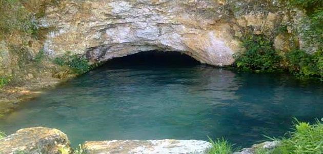 المياه: لا دليل على انتقال فيروس