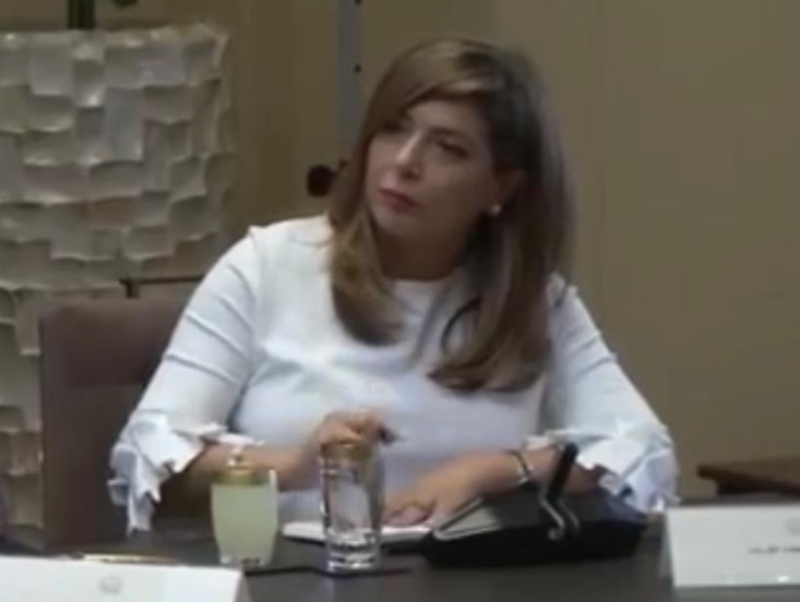 تعرفوا على مستشار الملك للسياسات هيفاء