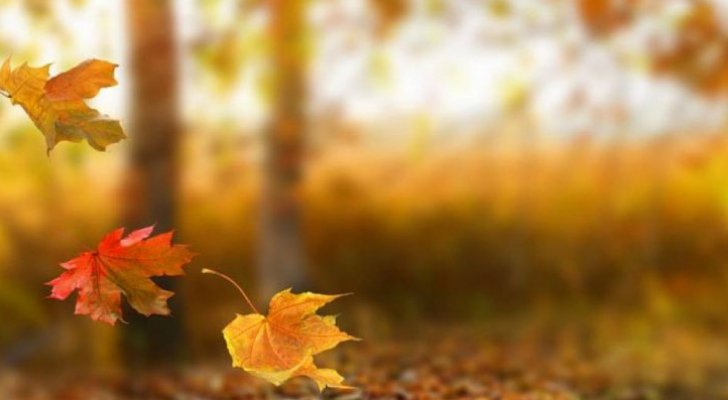 طقس خريفي في الأردن