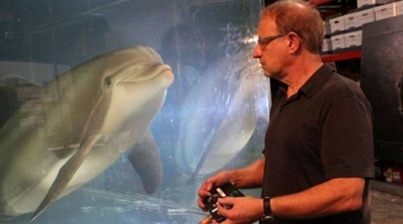 دولفين آلي يمكن أن يحل محل