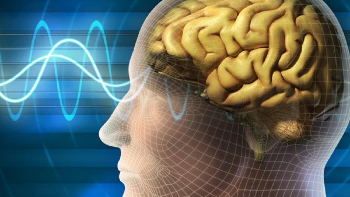 ما الذي يحدث للدماغ أثناء الاحتضار؟