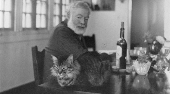 السياح يزورون منزل همينغواي من أجل