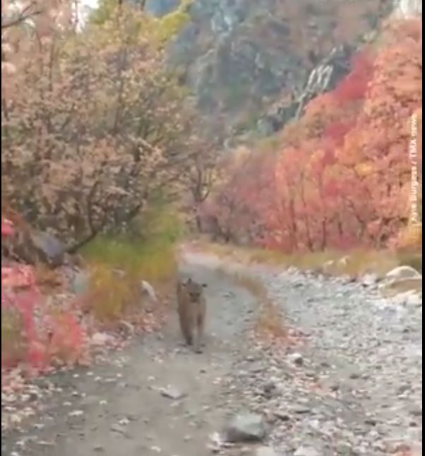 ست دقائق من الرعب