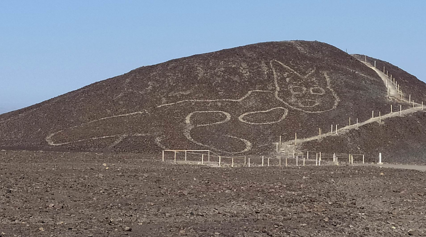 اكتشاف رسم عملاق لقط على تل