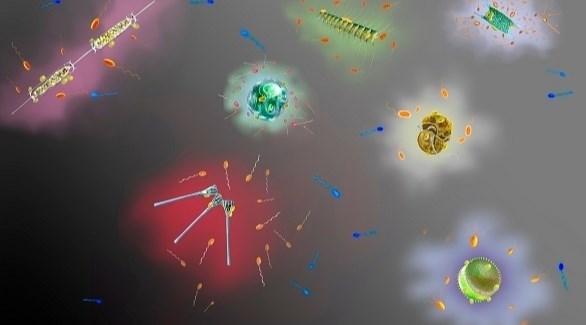 دراسة تكتشف كيفية تحكم بعض الكائنات