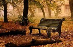 حيل بسيطة للتغلب على اكتئاب الخريف