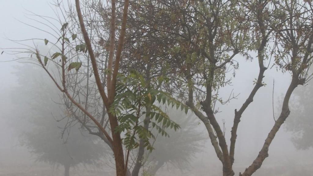 الأرصاد تحذر.. . تفاصيل