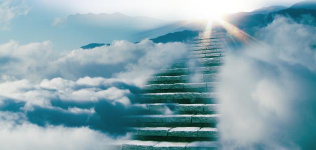 ما شكل الجنة؟