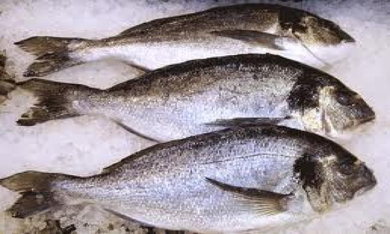 ’المستهلك‘ تحذر من معلومات مضللة حول