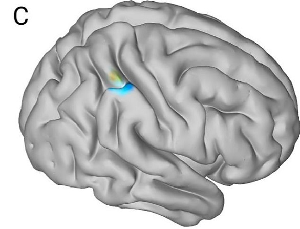 جين موروث من والديك يحسن مهاراتك