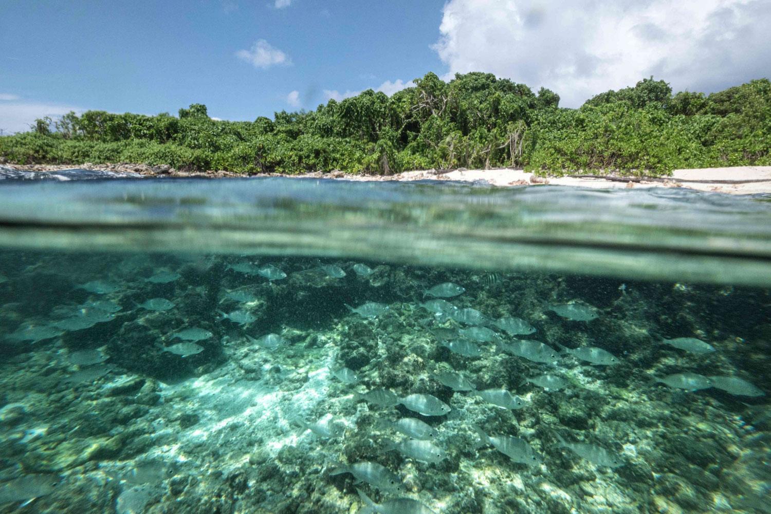 السياحة في جزر سيشل في وضع