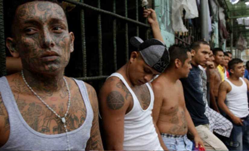 أكد رغبته في قتل المزيد.. برازيلي