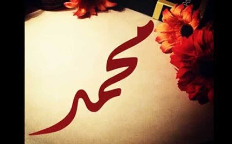 الشيشان تمنح 1300 دولار لكل مولود