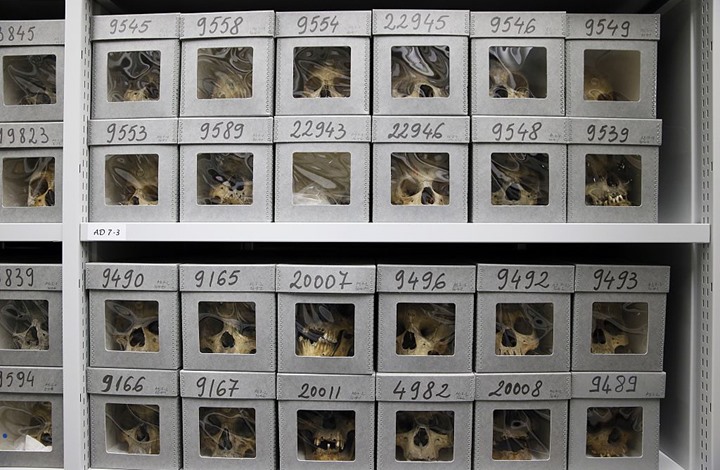 الجزائر: فرنسا صنعت الصابون من عظام