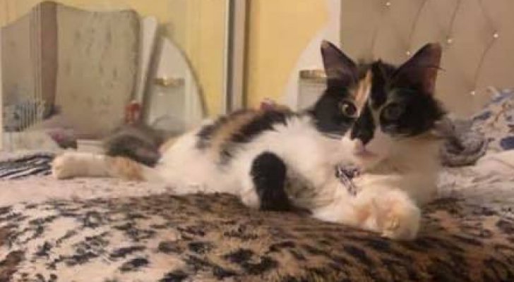 أردنية ترصد مكافأة مالية لمن يساعدها