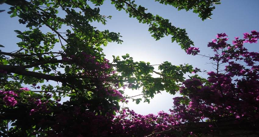 طقس ربيعي معتدل إلى دافئ