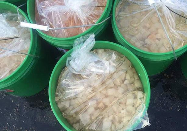 القبض على أردني حاول تهريب نصف