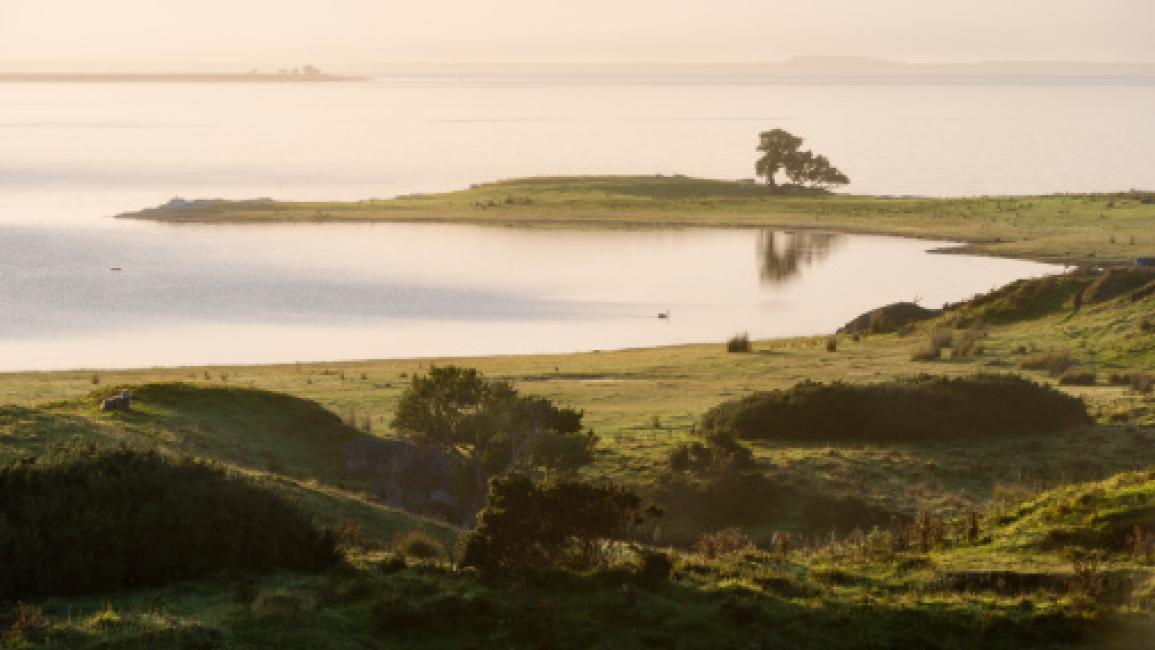 وسط أزمة كورونا… هذا المكان يعاني