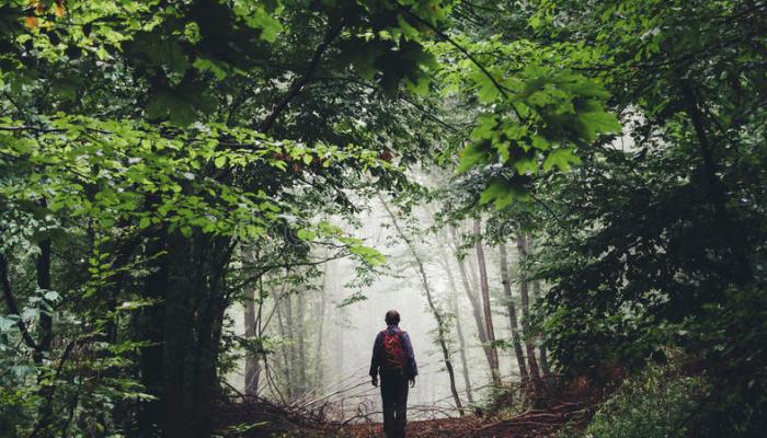 رجل يعثر على سيف أثري بالصدفة..