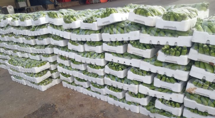 وزارة الزراعة تؤكد استمرار تدفق الخضار